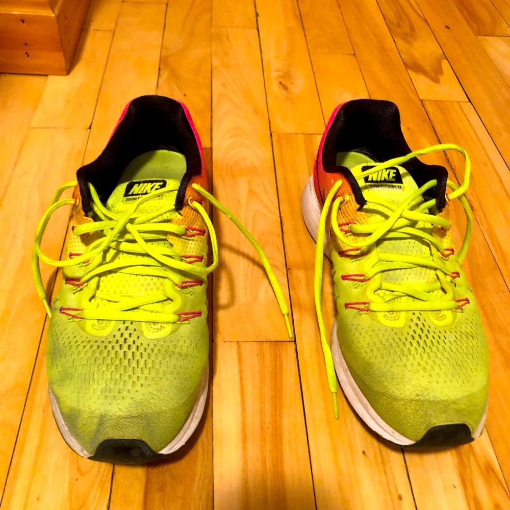 Nike Pegasus 33 men’s shoes